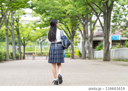 制服を着た女子高生の後ろ姿 制服を着た女子高生の後ろ姿 116681619