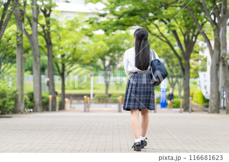 制服を着た女子高生の後ろ姿 116681623