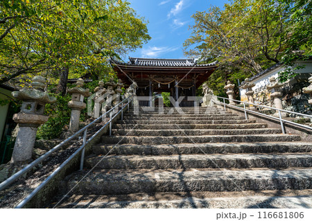 初秋の坂越　大避神社の石段と随神門　兵庫県赤穂市 116681806