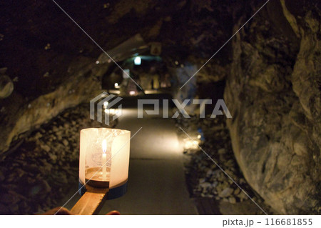 【藤沢市】江の島岩屋 116681855