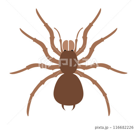 flat style insects wildlife animals vector illustration flat style insects wildlife animals vector illustration 116682226