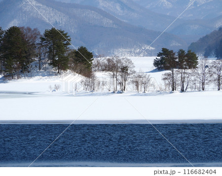 凍結し始めた裏磐梯、秋元湖。青い湖面と白い雪原とのコントラストが印象的で綺麗だ。 凍結し始めた裏磐梯、秋元湖。青い湖面と白い雪原とのコントラストが印象的で綺麗だ。 116682404