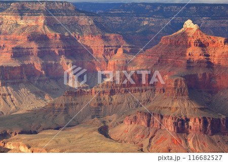 アメリカ、アリゾナ州のグランドキャニオンの絶景 アメリカ、アリゾナ州のグランドキャニオンの絶景 116682527