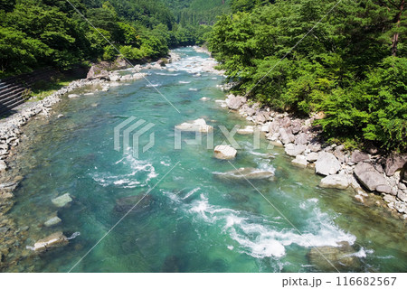 美しい夏の渓流 116682567
