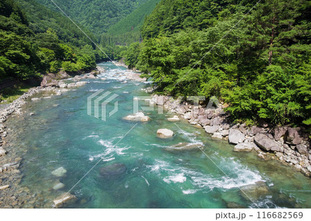 美しい夏の渓流 116682569