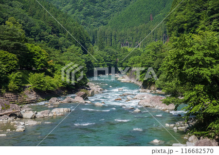 美しい夏の渓流 116682570