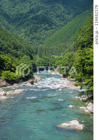 美しい夏の渓流 116682576