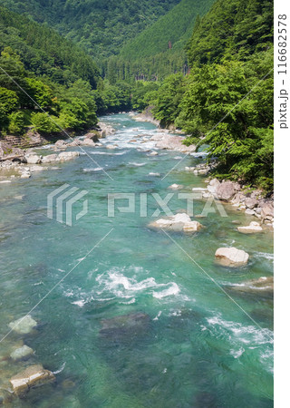 美しい夏の渓流 116682578