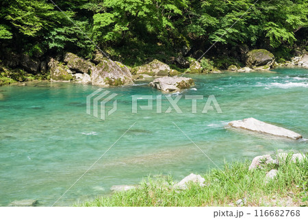 【透明度の高い清流】馬瀬川・岐阜県 【透明度の高い清流】馬瀬川・岐阜県 116682768