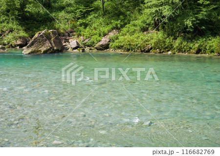 【透明度の高い清流】馬瀬川・岐阜県 【透明度の高い清流】馬瀬川・岐阜県 116682769