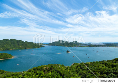 徳島県鳴門市のウチノ海・堂の浦(鳴門スカイラインからの眺望) 徳島県鳴門市のウチノ海・堂の浦(鳴門スカイラインからの眺望) 116683054