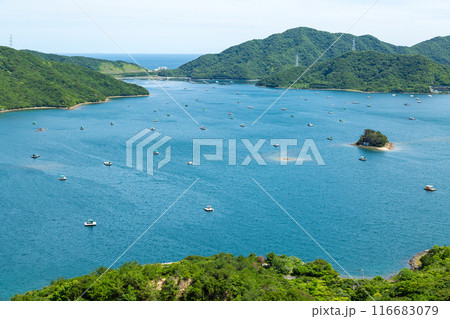 徳島県鳴門市のウチノ海・堂の浦（鳴門スカイラインからの眺望） 116683079