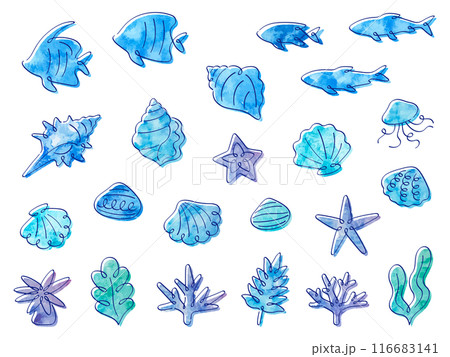 水彩風の海のイラストセット 116683141