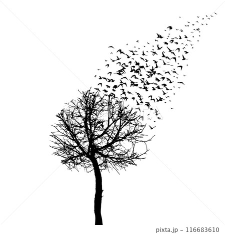 Tree silhouette and flying birds. hand drawing. Not AI Vector 116683610