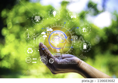 green energy concept help reduce global warming..Hand holding natural background light bulb on green leaf with clean energy icon around it. Carbon dioxide emission in industry zero carbon concept.. 116683682