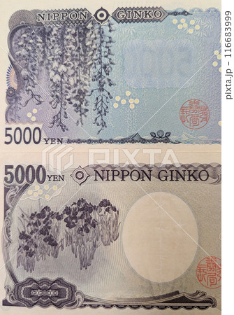 新札の五千円札（上）旧札の五千円札（下）の裏面 116683999