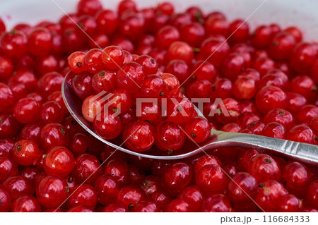 Red currant on green grass background in white cup, on the spoon Red currant on green grass background in white cup, on the spoon 116684333