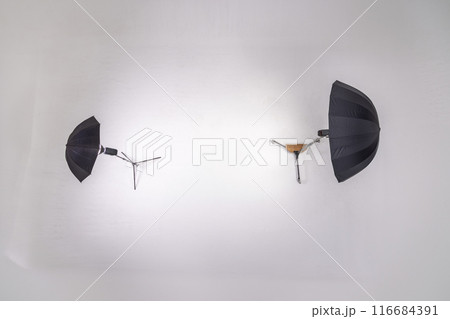 スタジオ撮影の準備　Preparation for a serious shoot 116684391