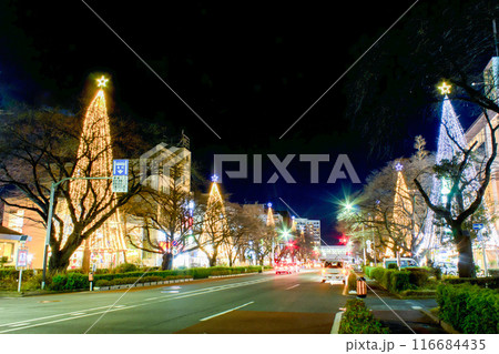 国立駅前のクリスマスイルミネーション 116684435