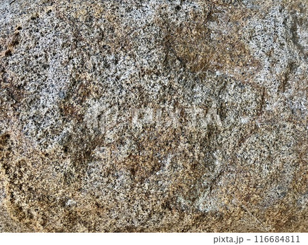 ざらざらした岩肌 116684811