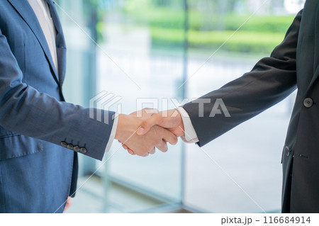 握手をするビジネスマン 握手をするビジネスマン 116684914