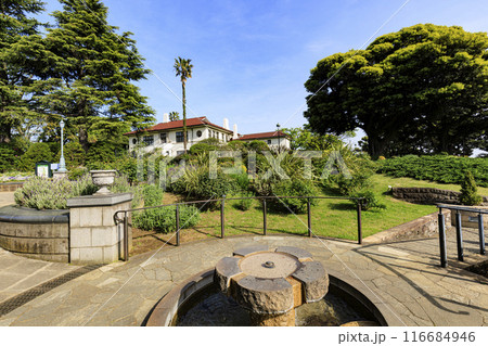 新緑の港の見える丘公園 116684946