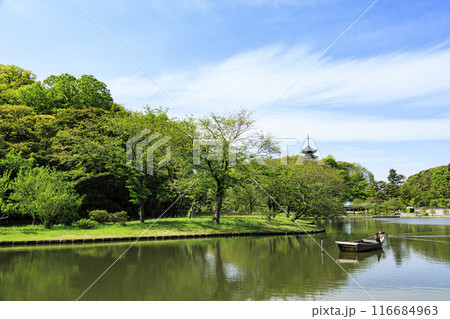 横浜市の景勝地新緑の三渓園・三溪園　 116684963