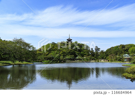 横浜市の景勝地新緑の三渓園・三溪園　 116684964