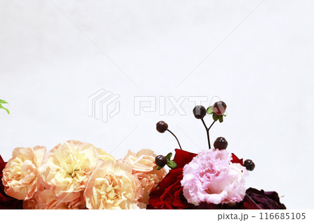白背景のバラの花 116685105