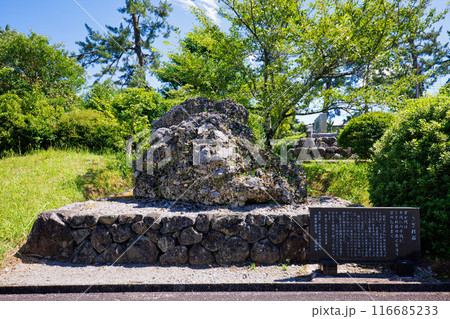 〈島根県〉熊野大社のさざれ石 116685233