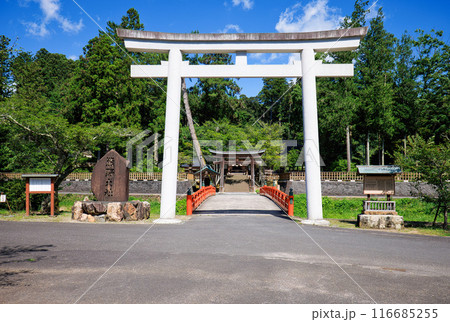 〈島根県〉熊野大社　二の鳥居　神橋 116685255