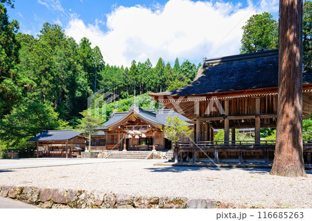 〈島根県〉熊野大社　御本殿と舞殿 116685263