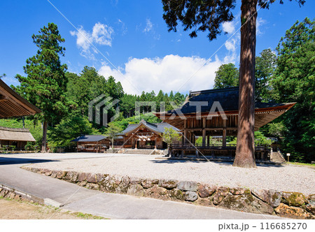 〈島根県〉熊野大社　御本殿と舞殿 116685270