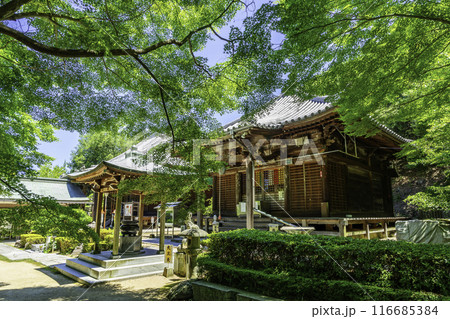 四国八十八箇所81番　白峯寺　大師堂　香川県坂出市 116685384