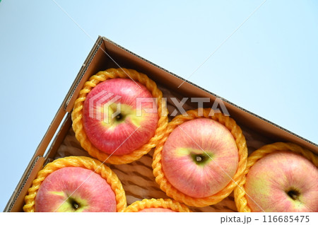 beautiful pink apple in the box on blue background 116685475