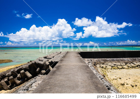海へと続く沖縄の防波堤 116685499