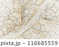 Cracked Soil Closeup Highlighting Water Scarcity 116685559