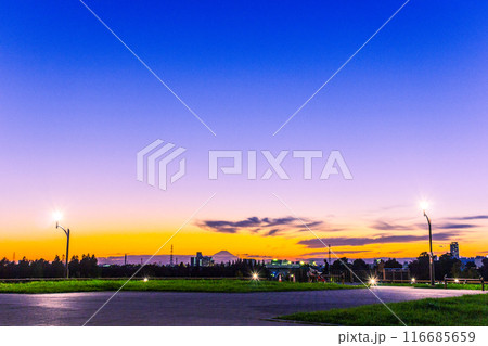舎人公園の夕暮れ 舎人公園の夕暮れ 116685659