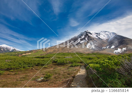 秋の旭岳 秋の旭岳 116685814