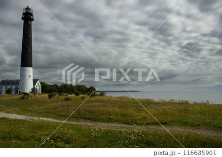 Sorve Lighthouse on island Saaremaa. Most famous lighthouse in Estonia. 116685901