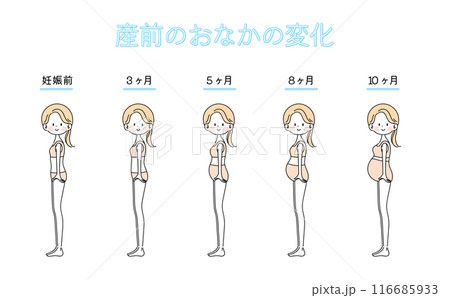 妊娠さんの体の変化【全身セット】 116685933