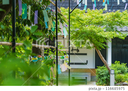 夏の半六庭園、風鈴かざり〈愛知県半田市〉 116685975