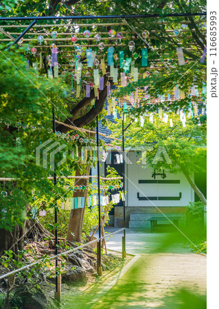 夏の半六庭園、風鈴かざり〈愛知県半田市〉 116685993