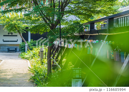 夏の半六庭園、風鈴かざり〈愛知県半田市〉 116685994