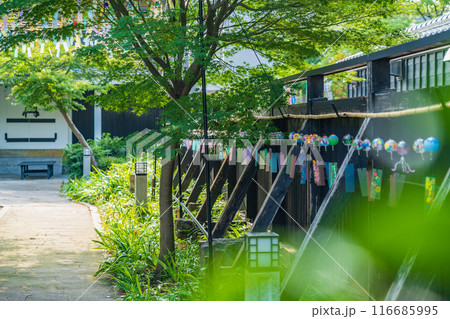 夏の半六庭園、風鈴かざり〈愛知県半田市〉 116685995