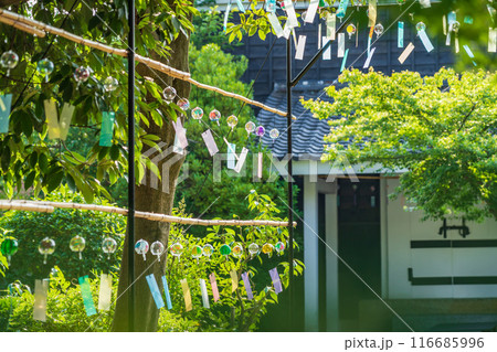 夏の半六庭園、風鈴かざり〈愛知県半田市〉 116685996