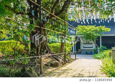 夏の半六庭園、風鈴かざり〈愛知県半田市〉 116685998