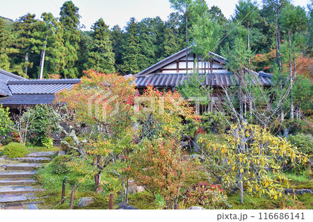 大原 実光院 旧理覚院庭園 美しい秋の庭(京都市左京区) 大原 実光院 旧理覚院庭園 美しい秋の庭(京都市左京区) 116686141