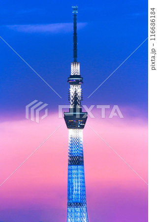 東京スカイツリーの夕暮れ 東京スカイツリーの夕暮れ 116686184