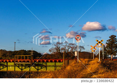 静岡県掛川市本郷　天竜浜名湖鉄道と沿線の風景 116686422